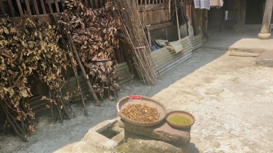 保存完好的一个村落，民风淳朴，风景秀丽，600多年的古树参天