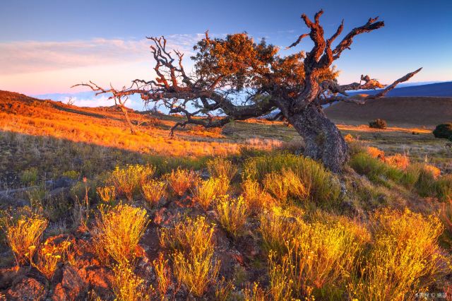 The Best Times to Visit the Top-5 US National Parks