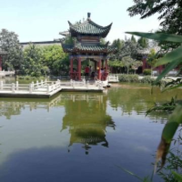評論圖片 8
