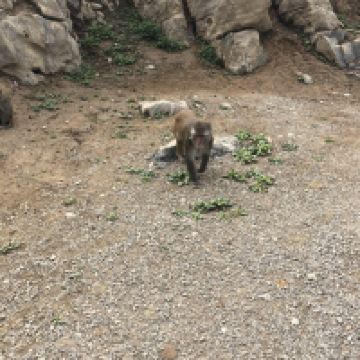 評論圖片 4