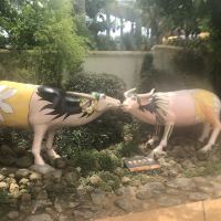 評論圖片 3