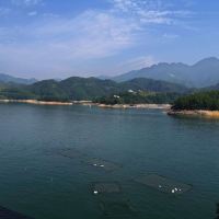 評論圖片 3