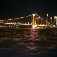 評論圖片 8