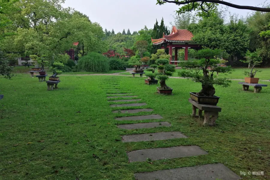 Циншань Парк