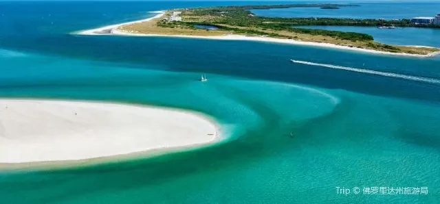 How to Get From Orlando to Miami in Style