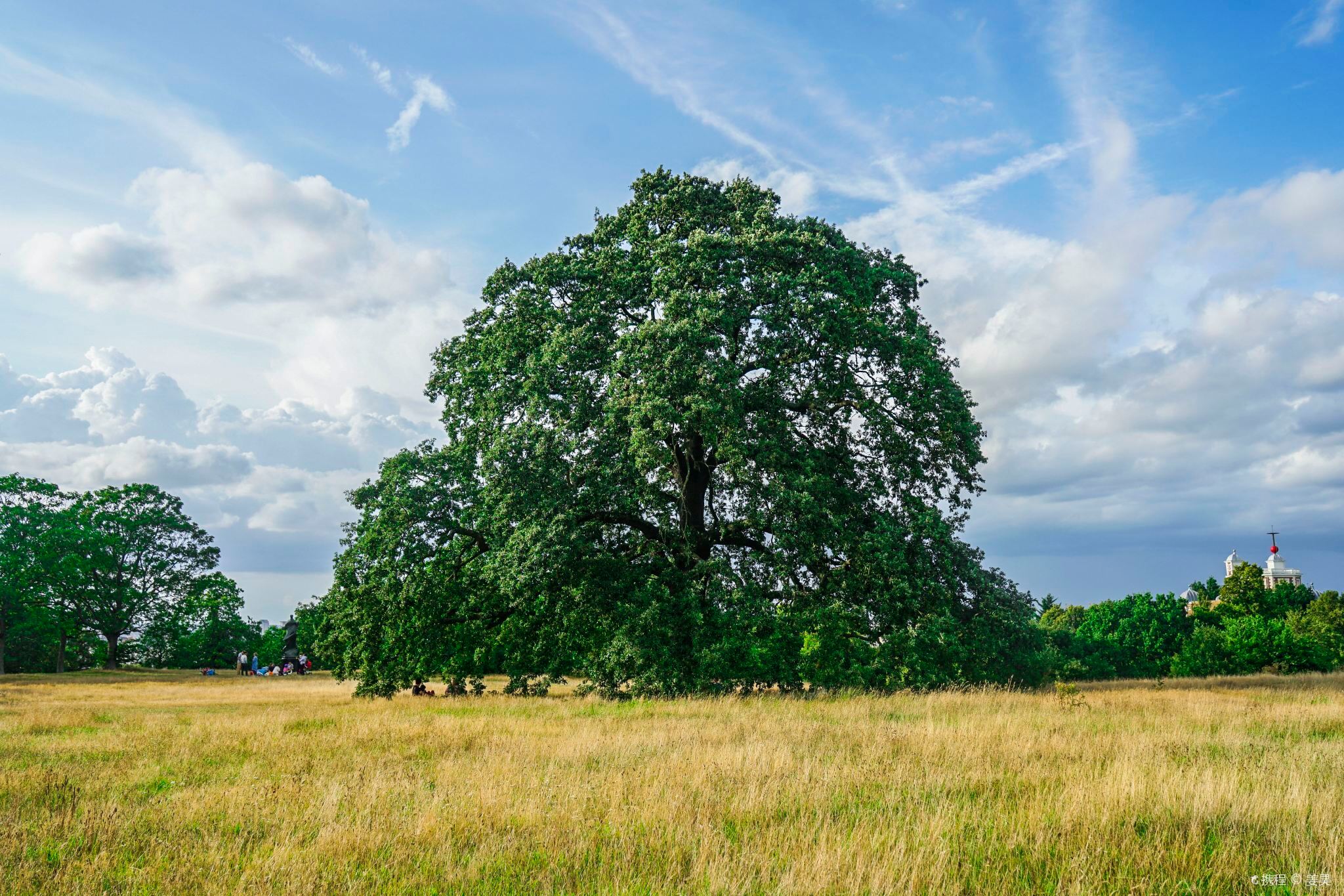 Perjalanan satu hari ke Westminster + London Eye + Greenwich Park + Big Ben + One Hyde Park