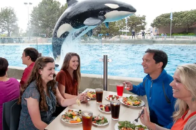 A Guide to Help Ace a SeaWorld San Diego Visit