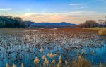 Summer Palace