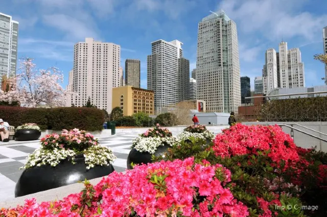 Drinks with a View: San Francisco’s Best Rooftop Bars