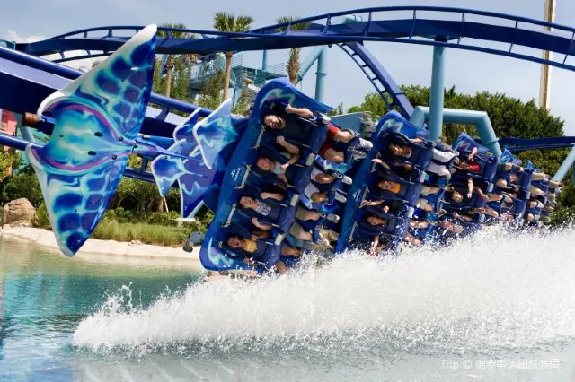 Spend Your Day at  Seaworld Orlando