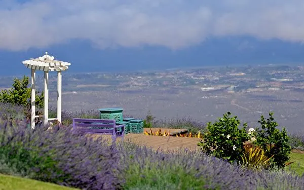 繽紛夏威夷 | 如何玩轉彩虹州,這幾種顏色告訴你!