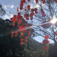 評論圖片 3