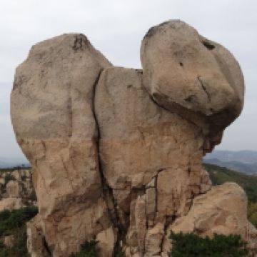 評論圖片 7