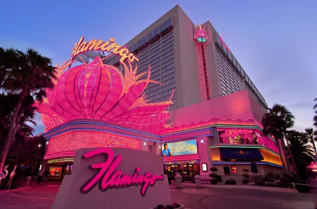 Las Vegas Strip Flamingos living the life, here's a look