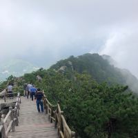 評論圖片 3