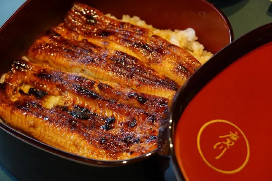 必試大阪鰻魚飯-米芝蓮、百年老店、高性價比選擇全介紹!