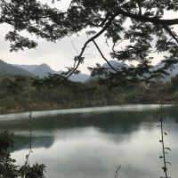 評論圖片 2