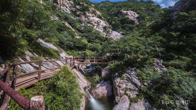 Bull Demon King's Free Valley