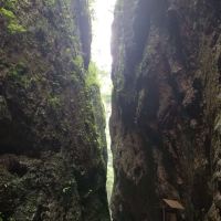 評論圖片 4