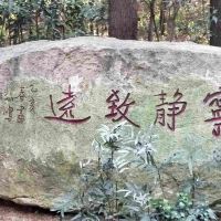 評論圖片 4