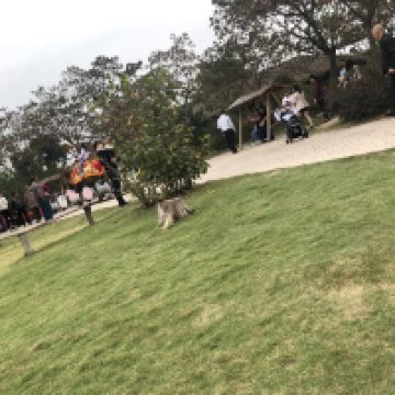 評論圖片 3