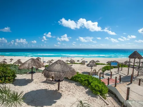 Top 12 Things to Do in Cancun