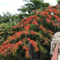 七仙岭君澜度假酒店7/5餐厅 여행 사진