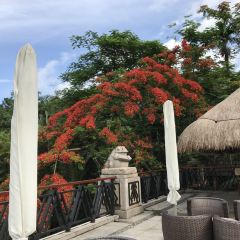 七仙岭君澜度假酒店7/5餐厅 여행 사진