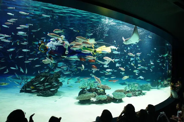 Special Aquarium Must Go in Summer
