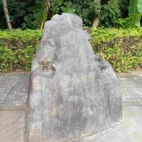 評論圖片 5
