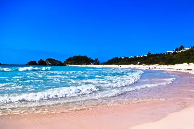 10 Rare and Beautiful Pink Sand Beaches around the World