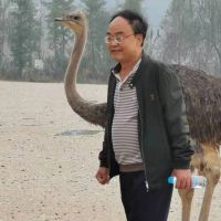 評論圖片 1