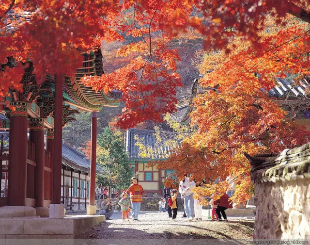 Beaches, Sunrise, Pastures, and Grassland, 9 Experiences that You Must Have in a Tour of Kangnung