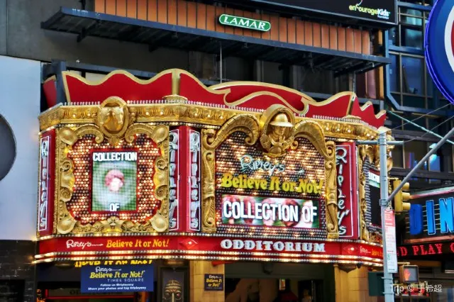 Best 10 Museums in New York