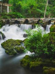 貴州茂蘭国家級自然保護区