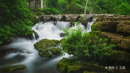 荔波茂蘭自然保護區