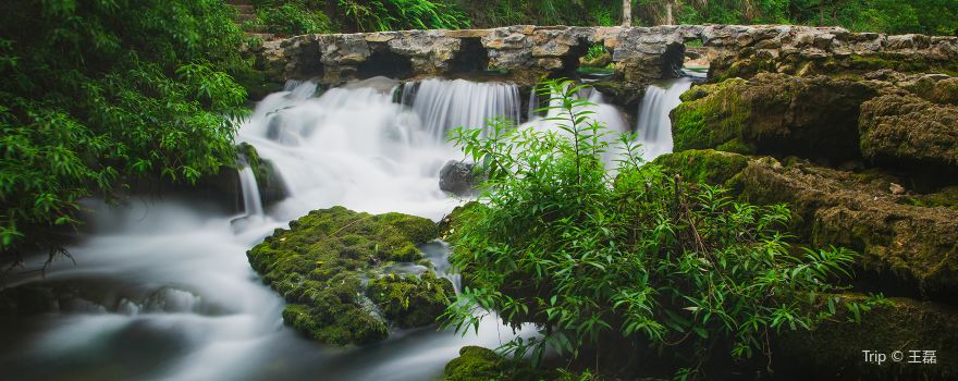 Maolan Karst Forest