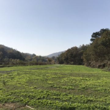 評論圖片 3