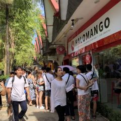 Halomango張用戶圖片