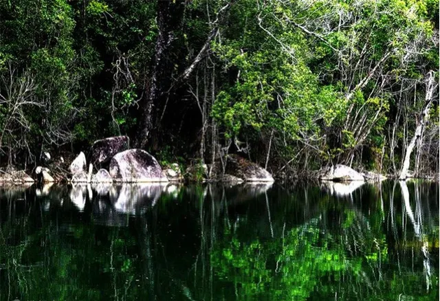 China’s 10 Most Beautiful Pristine Forests