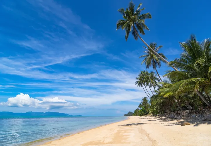 6 Things You Must Try on Koh Samet