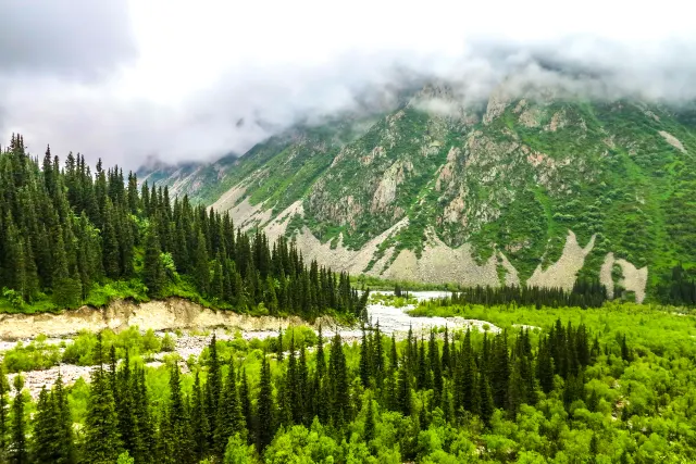 China’s 10 Most Beautiful Pristine Forests
