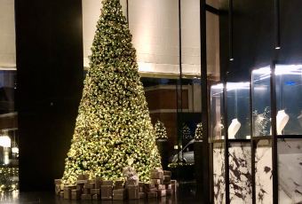 上海寶格麗酒店·IL RISTORANTE - NIKO ROMITO用戶圖片