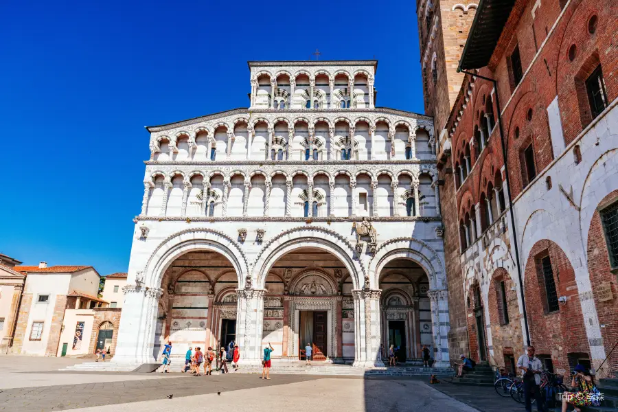 Lucca's Duomo (Cattedrale di San Martino)