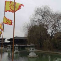 評論圖片 7