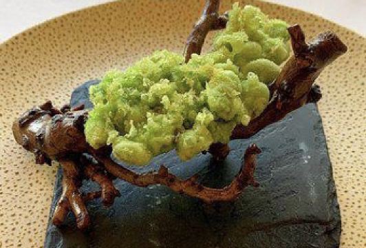 莫里哀用戶圖片