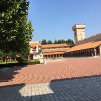 評論圖片 5