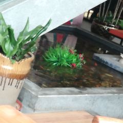 香兰石锅酱汤馆(渤海壹号店) User Photo