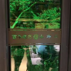 Mountain Beyond Mountain User Photo