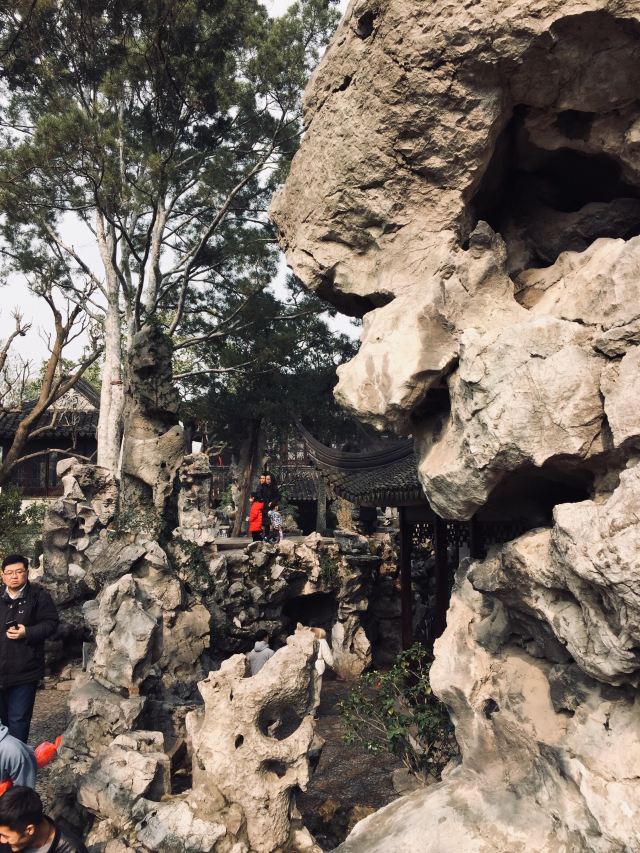 Lion Forest Garden